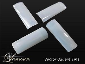 vector-square-natural