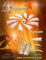 flyer-4-las-vegas-falcon-logo